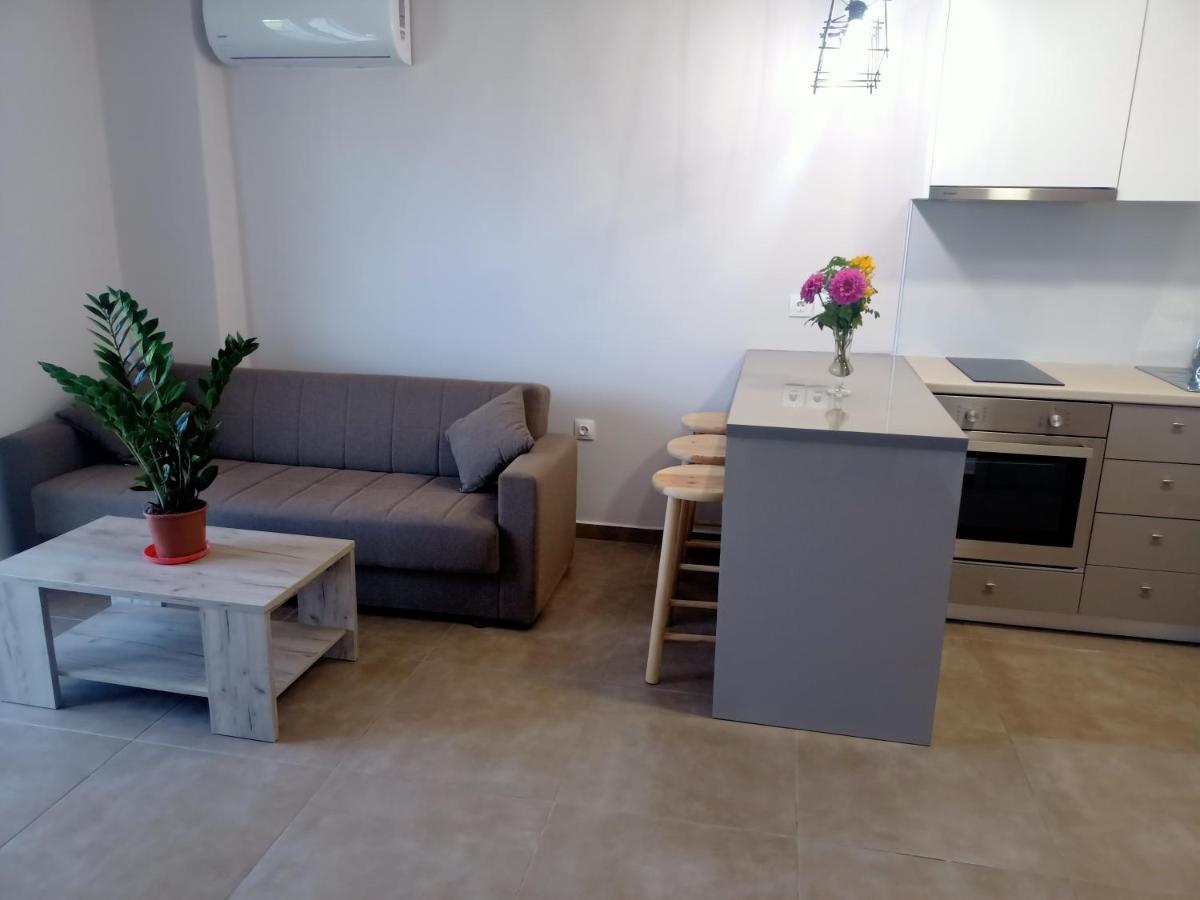Almiriki Studios & Apartments 阿里克斯 外观 照片