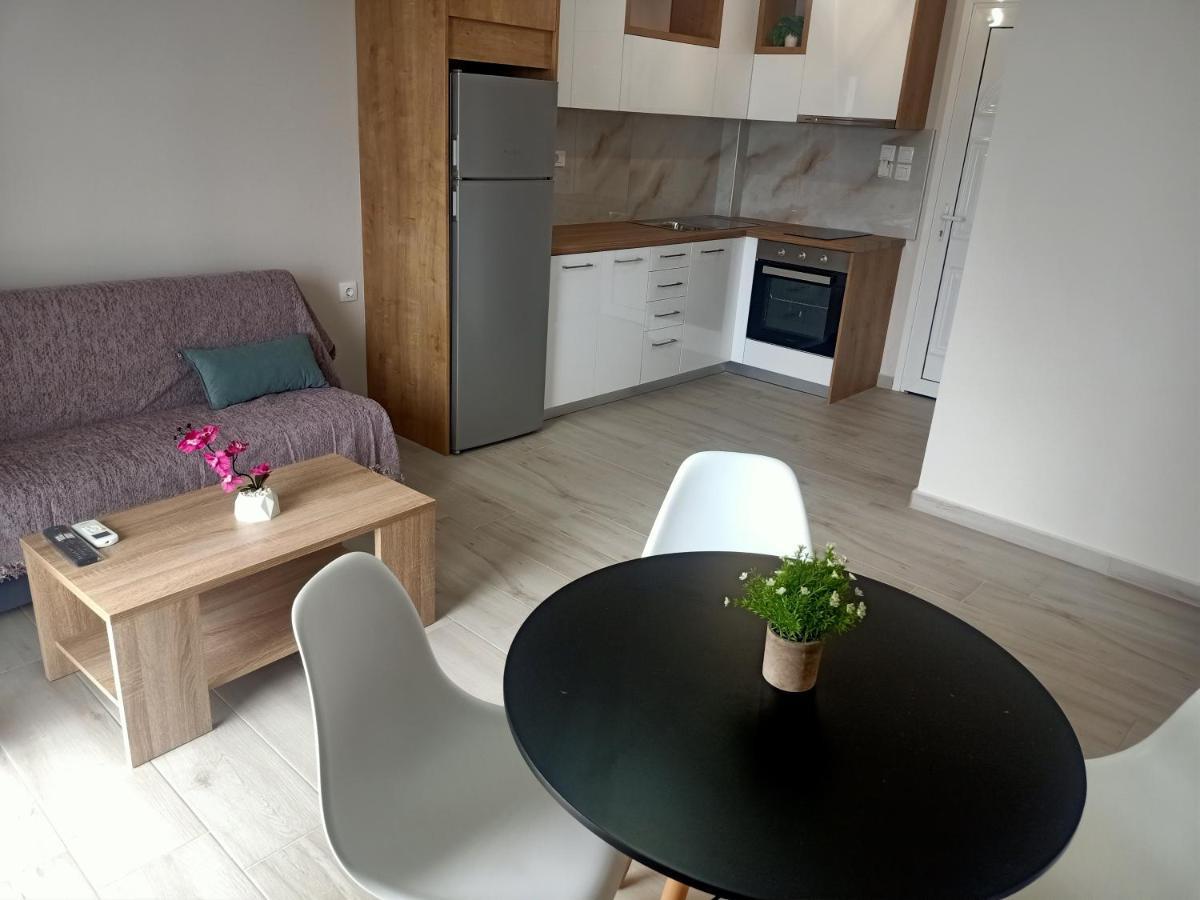 Almiriki Studios & Apartments 阿里克斯 外观 照片